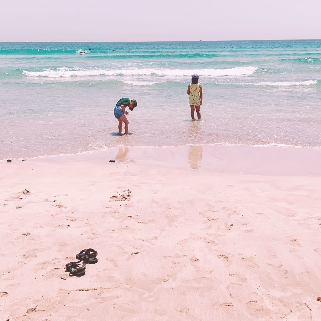 中古】今が買い時❤️気が変わりやすいわたし笑 ❤️ロエベ❤️ ラスト  