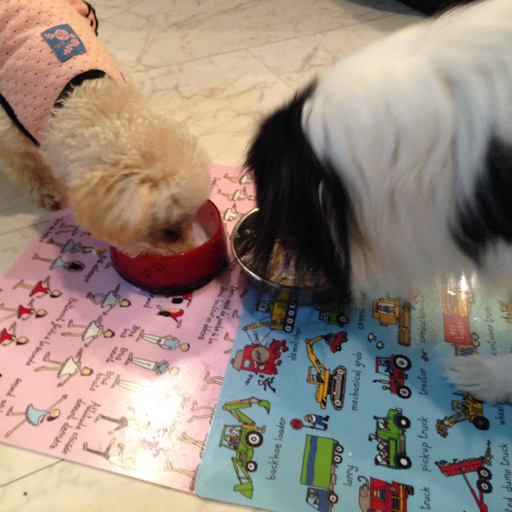 げきちんの出品情報 評価 225 出品数 121 メルカリ スマホでかんたん フリマアプリ