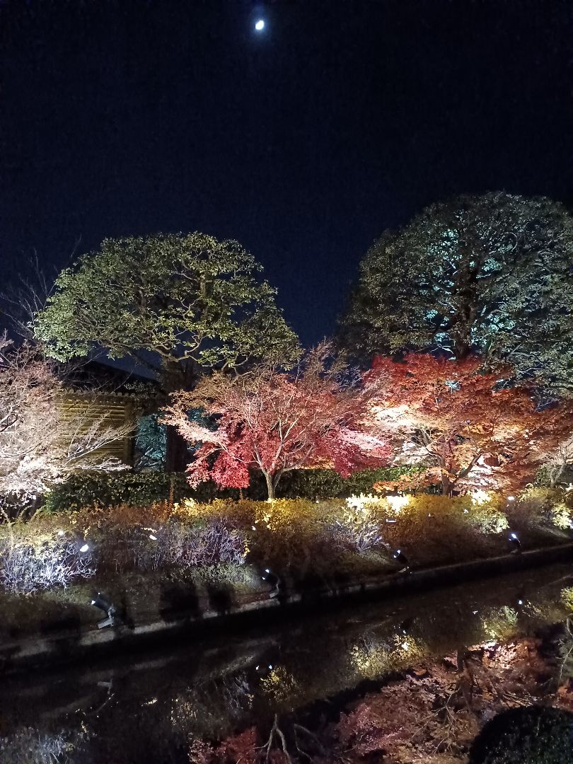 BURBERRY バーバリー フォーマル セットアップ ロゴ金ボタン 120  