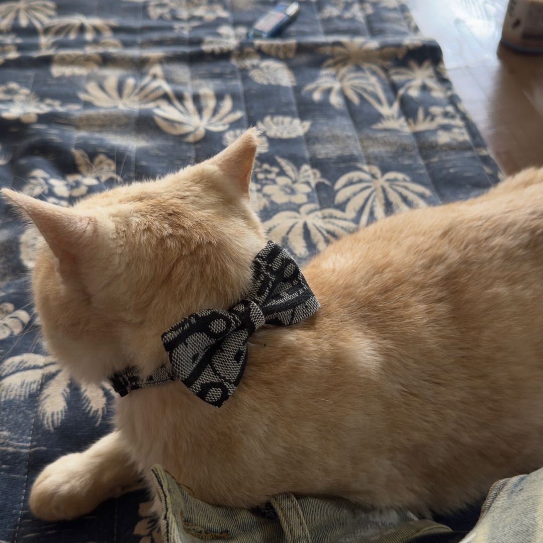 絶版当時物希少セブリングメッシュSEBRING MASH