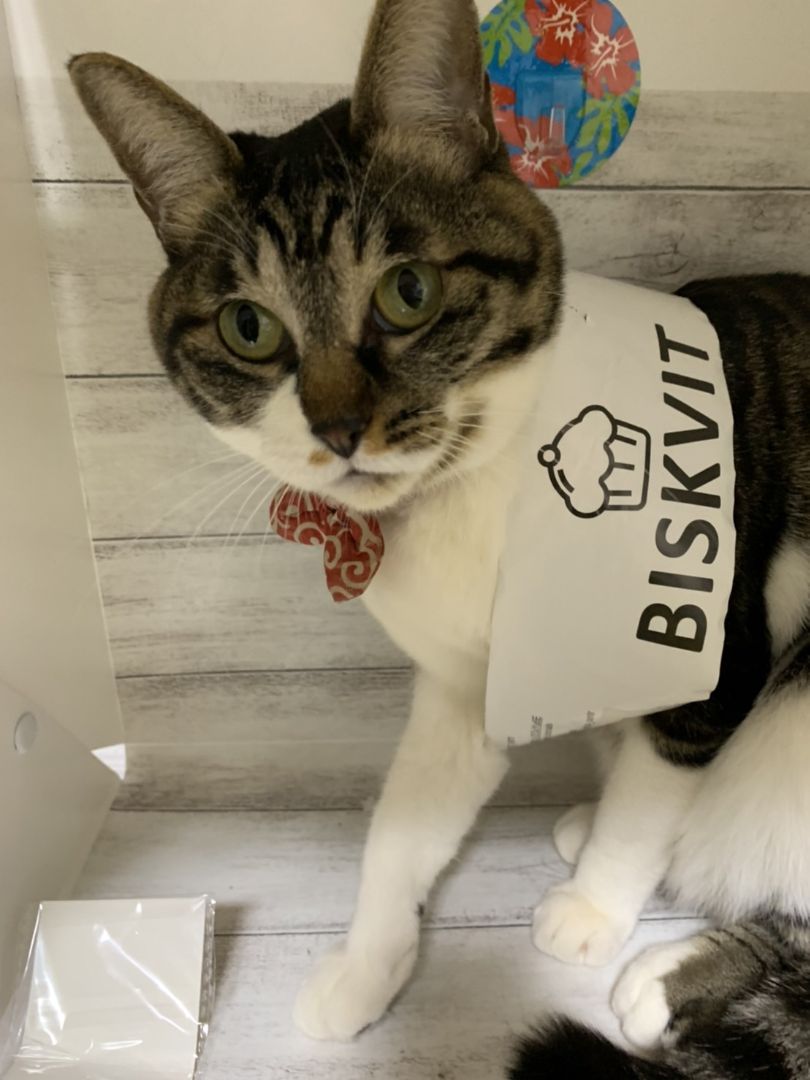 No.126】ロシアヤーン/麻紐/マルシェバック - メルカリ 