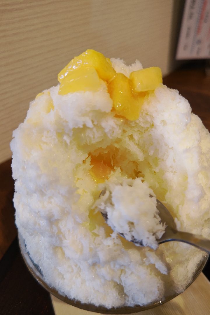 118 ホヤ Hoya macgillivrayi 花座 つぼみ 付き 大株 - メルカリ