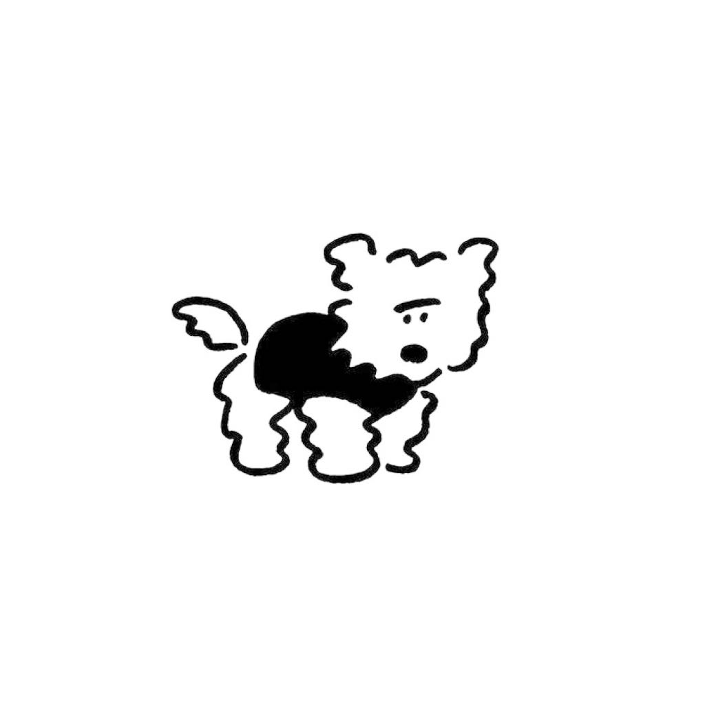 【 羽生まゐご 】 入門編サイン入り特製CD 【 希少 】 羽生まゐご 入門編 CD サイン入り