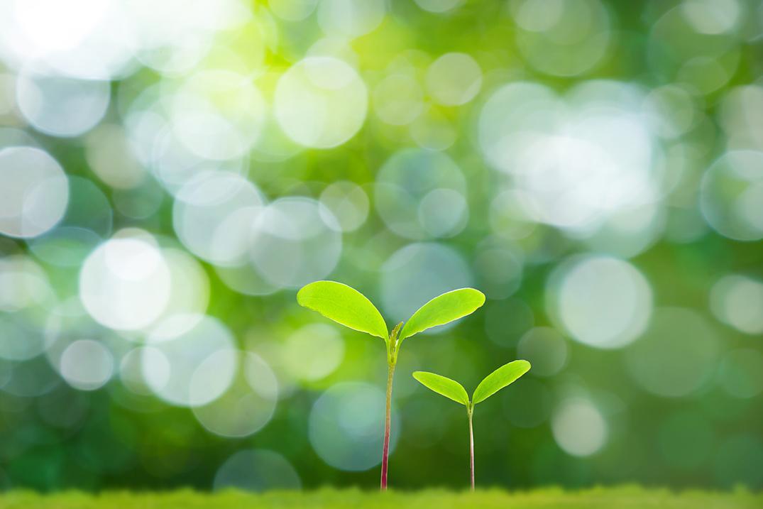 野草酵素 720ml 2本セット【匿名配送・即購入可】賞味期限2024年9月  