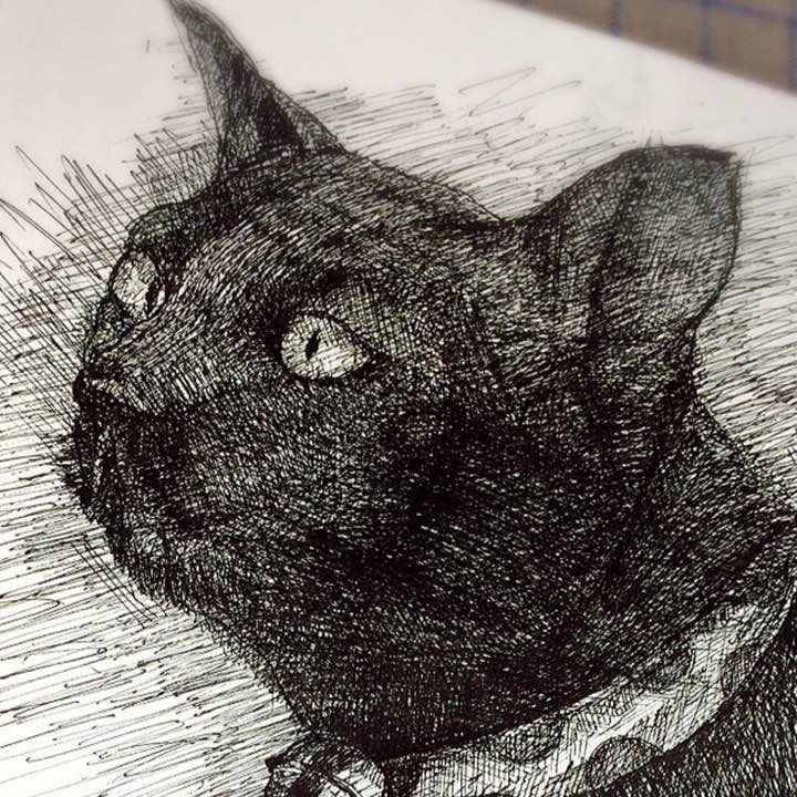 9429【人気デザイン】ダブレット☆カオス刺繍ナイロンジャケット 入手 