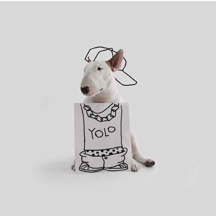 Mu Aの出品情報 評価 321 出品数 253 メルカリ スマホでかんたん フリマアプリ