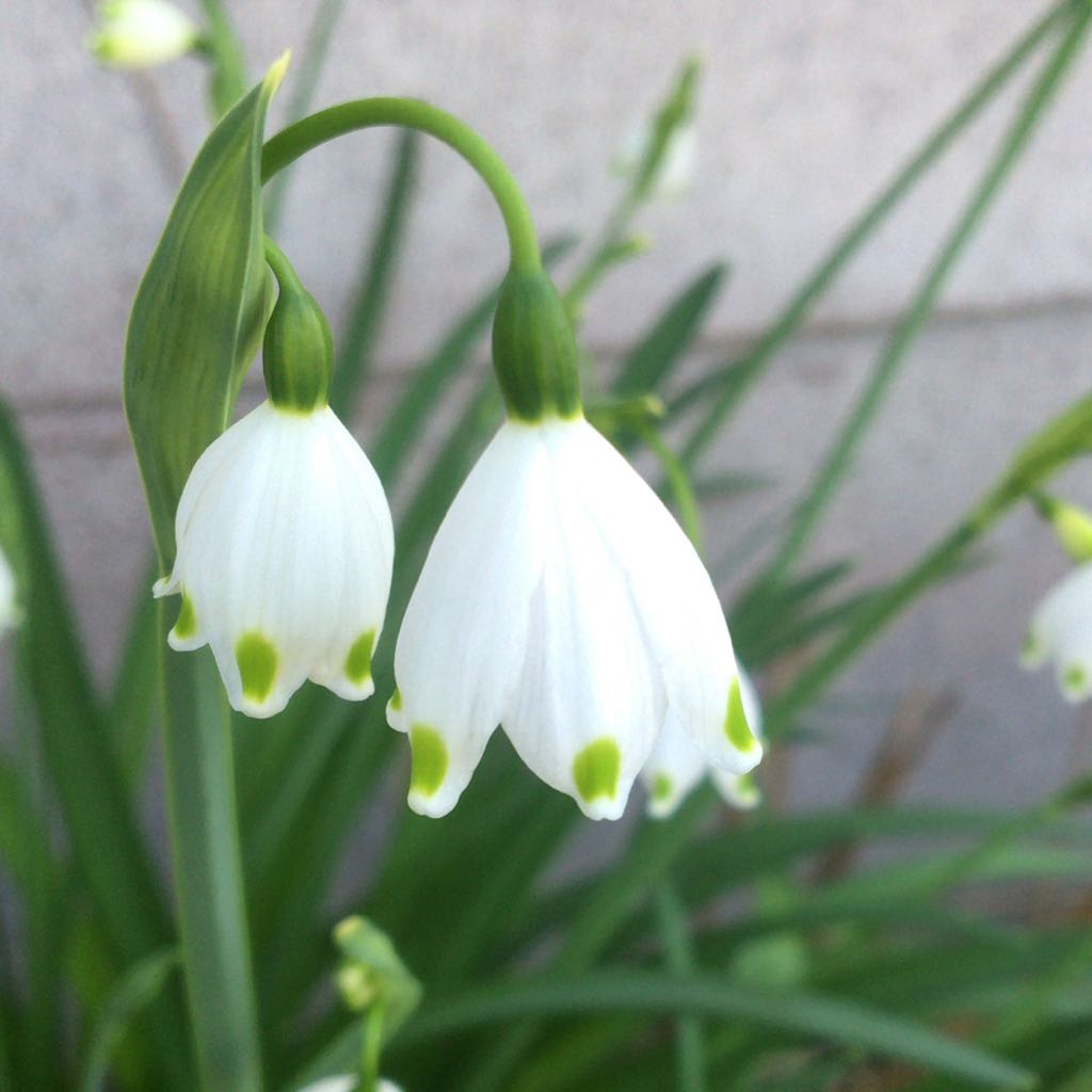 碧 プロフ必読の出品情報 評価 112 出品数 99 メルカリ スマホでかんたん フリマアプリ