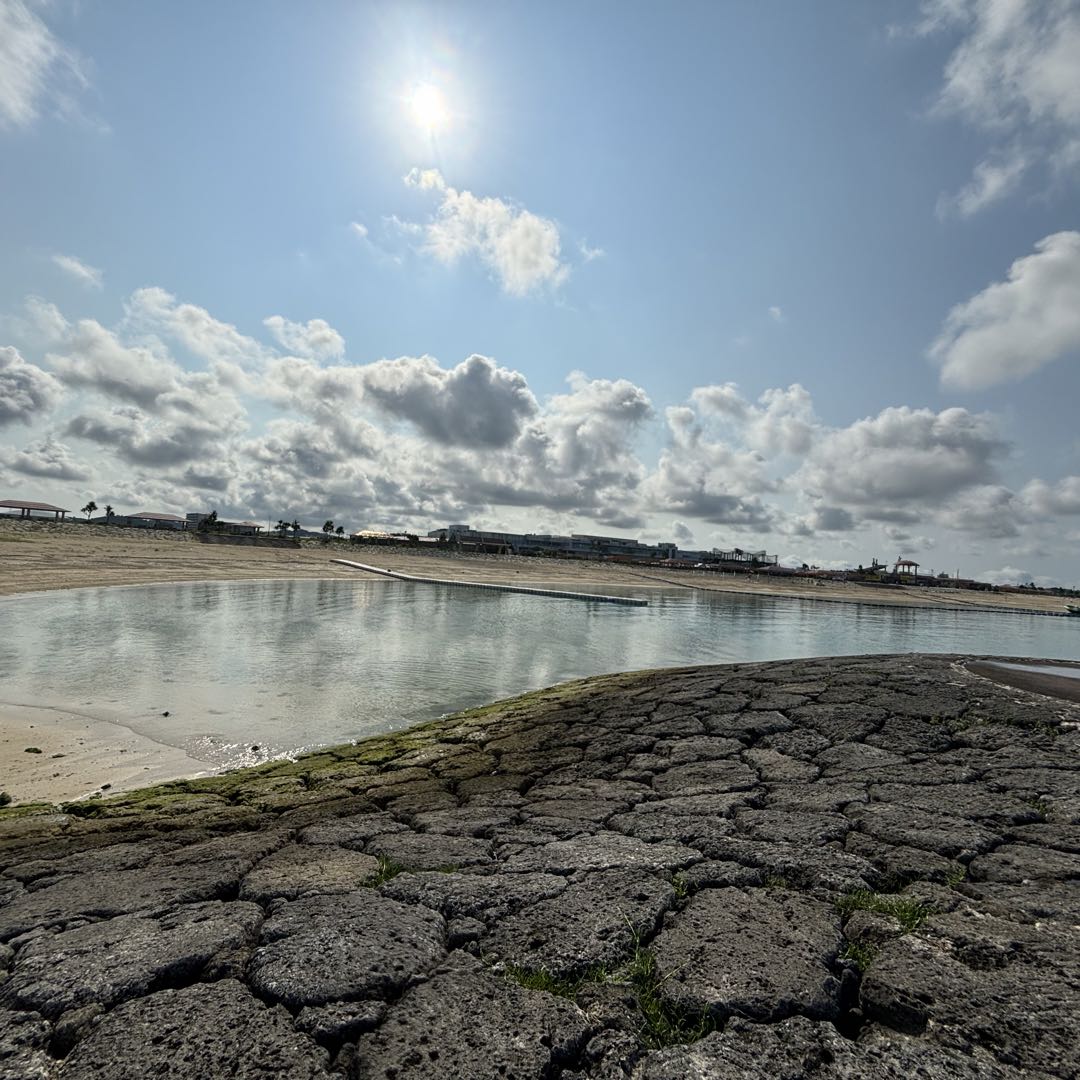 ポンポネットジュニア 卒園式 入学式 セレモニー by メルカリ 