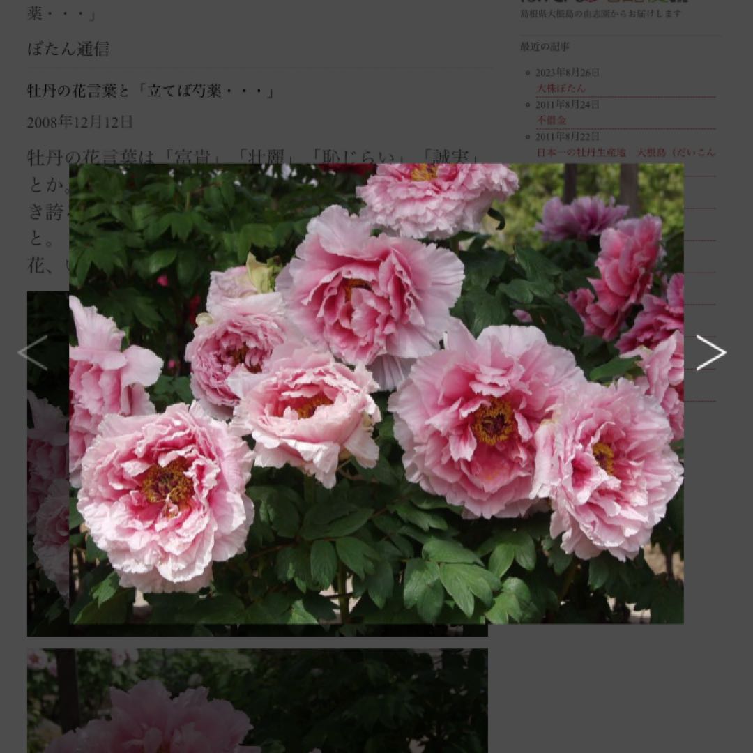 ひさとも様 リクエスト 2点 まとめ商品 - メルカリ