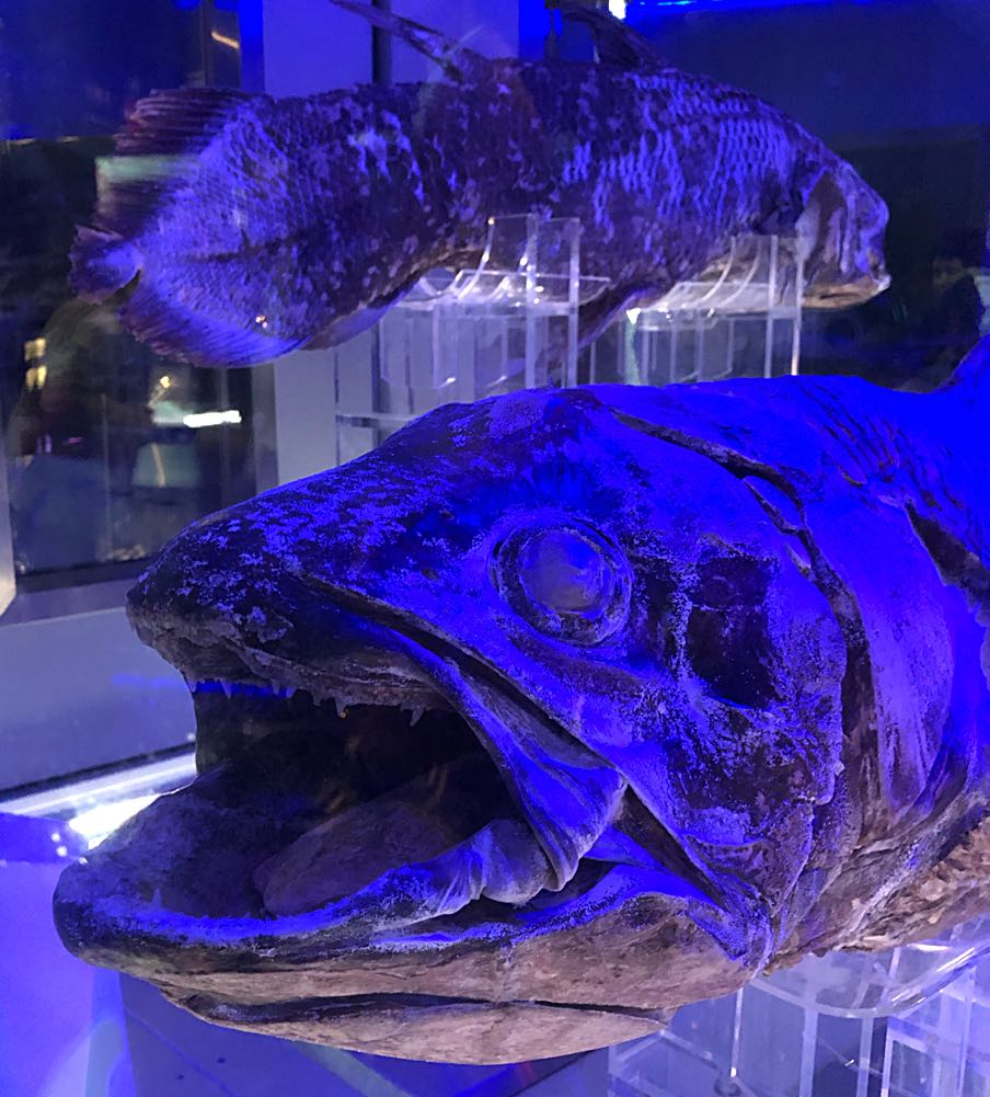 美品◎1980s Barbour Gamefair c38 2クラウン 棒ジップ - メルカリ 