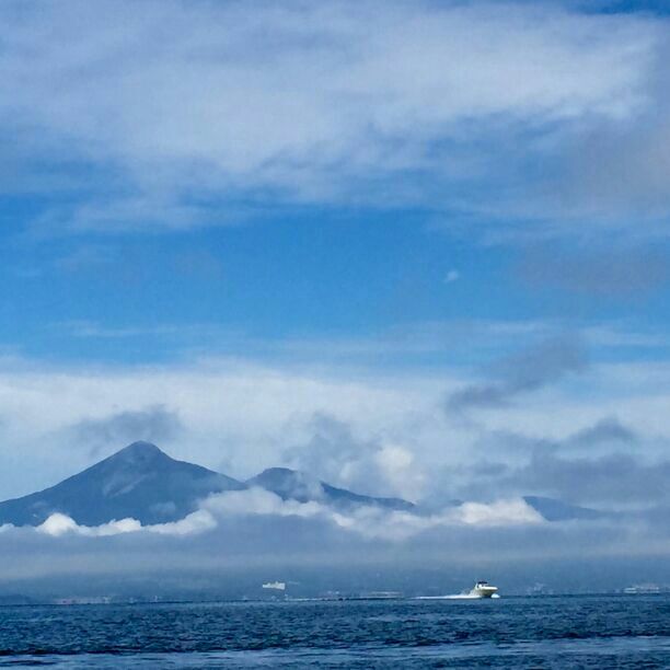 ロニックス ビル134 アダムエリントンプロモデル 美品 by メルカリ