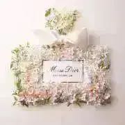 LEE MATHEWS ダイアナ ピンストライプ コットンポプリン ミニドレス  