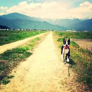 ⭐︎アルクマママ様専用⭐︎新品未使用 コレットマルーフ グラス
