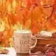 布生地屋　たま屋