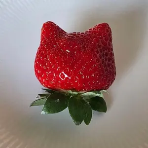 【Pupuu】BONAVENTURA ハート コンパクトミラー どんなバッグにも合う♡ボナベンチュラのハート コンパクト