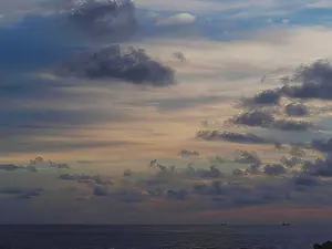 タグ付き♪conte ジャガード ノーカラージャケット ショート丈