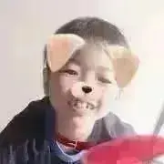 ウエラ コレストン 詰め合わせ 86本 1本あたり290円 - メルカリ