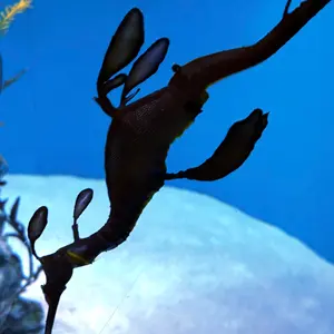 滝の流れるアクアテラリウム】 30cmキューブガラス水槽レイアウト