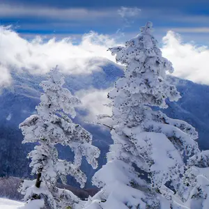 サンダース大学付属高校 ケイ 山下しゅんやVer. ガルパンレジンキット モデルカステン「山下しゅんや版 おケイさん」を作る - へぼへぼ日記