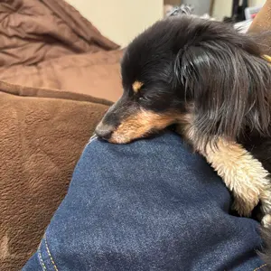 値下げOK!!】3個セット！薬草ハラマキ（ホットカイロ） - メルカリ