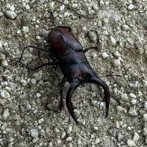 E.S.M. テナーサックスマウスピース　classicモデル　5番 E.S.M. テナーサックスマウスピース classicモデル 5番 - メルカリ