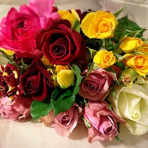 ダリ 瞑想する薔薇 アートパネル 額装 - メルカリ
