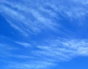 spicy gem スタッズ鉢 raw life factory goujin - メルカリ