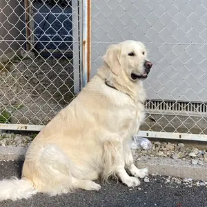 Y-3 黒色 フード付きパーカー Yohji Yamamoto サイン入り Y-3 DISTRESSED SIGNATURE HOODIE