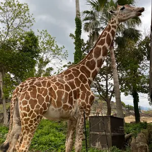 SUMMIT ボウリングボール 青・黄・グレー - メルカリ