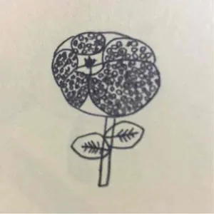 小澄正雄 金魚玉 未使用品 - メルカリ