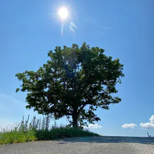 【中古】STREACOM BC1 チタニウム ST-BC1.1-T ベンチ台 中古】STREACOM BC1 チタニウム ST-BC1.1-T ベンチ台 中古】STREACOM