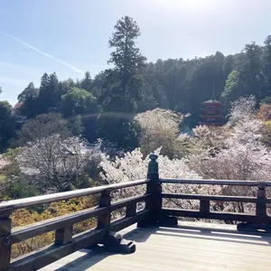 千川上水・用水と江戸・武蔵野 名著出版 - メルカリ