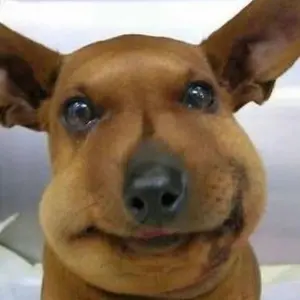 徳