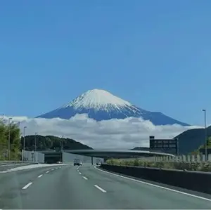 東京オリンピックパラリンピック ピンバッジ/パラリンピック開会式