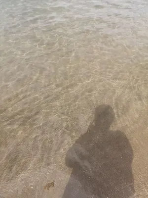 ☆すみっコ☆　プロフも見てね