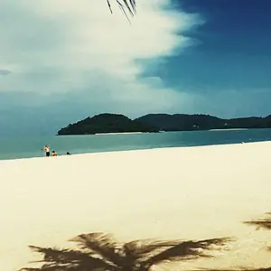 YAN