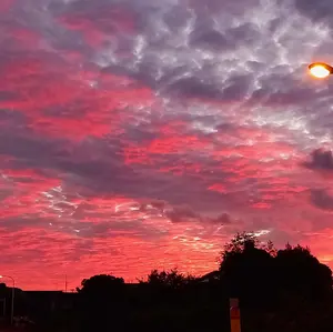 北海道紋別球顆流紋岩 天然石 コレクション放出品 6kg - メルカリ