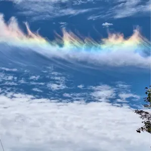 鬼滅の刃 フライヤーセット 鬼滅の刃 鬼滅シアター フライヤー＆クリアファイルセット 時透