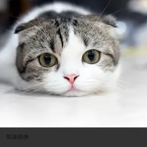 Fontaine RIPNDIP V1 V2 新品未開封 2025年最新】fontaine ripndipの人気アイテム - メルカリ