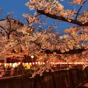 アイカツ プレミアム オーロラキス 霧矢あおい 紫吹蘭 - メルカリ