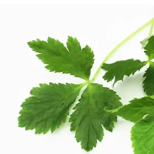 田中裕輝　ファントムグラファイト97 グリップ3 田中裕輝様専用 ファントムグラファイト97 グリップ3 - メルカリ