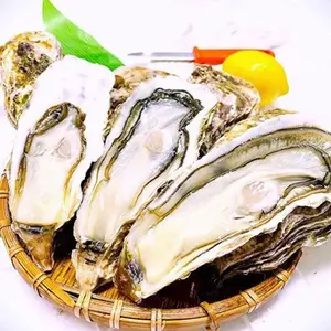 number(n)ine fuckyou mthrfckr サイズ2 - メルカリ