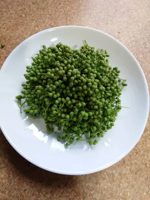 訳あり！ 送料込み！青森県産実山椒 ☆採れたて 150g+増量中 - メルカリ