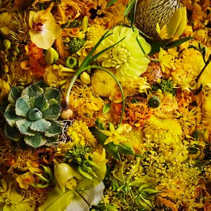 新品 未使用 モンテ ロースタイル ソロベンチ ×2 - メルカリ