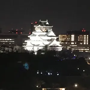 小祝さくら プロ 直筆サイン入り オウンネームボール グローブ
