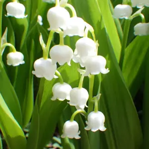 Y*u様 B'z 直筆 サイン 色紙 ELEVEN 2001 札幌ドーム 美品 - メルカリ