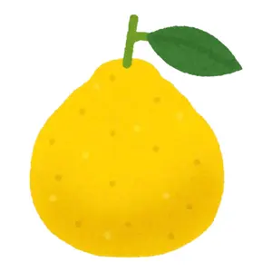 SOUTHERN ALL STARS ジャージ 2025 Mサイズ＆ツアーパンフ SOUTHERN ALL STARS ジャージ 2025 Mサイズ＆ツアーパンフ