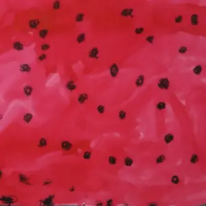 summer eye 大吉 レコード lp シャムキャッツ サマーアイ 夏目