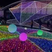 M進化セット】Mラグラージ Mバシャーモ レックウザメガバトル 美