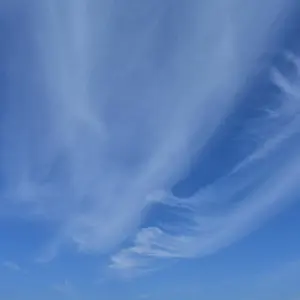 まるまるすーぷ